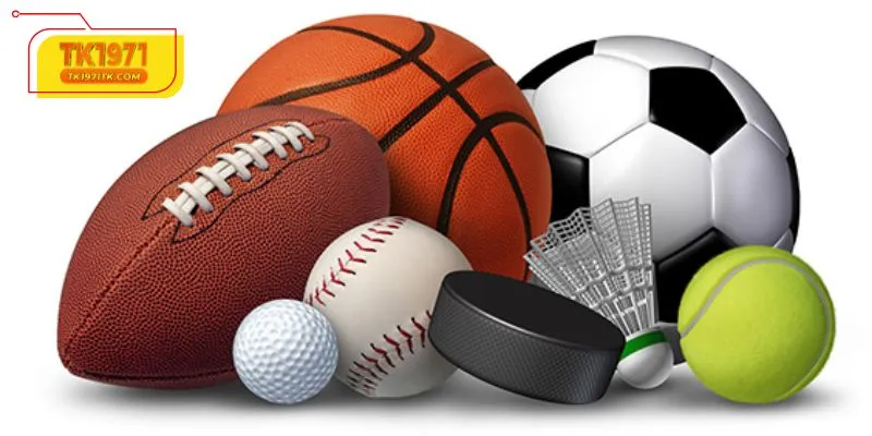 Diverse Disciplines: A Market For Every Fan